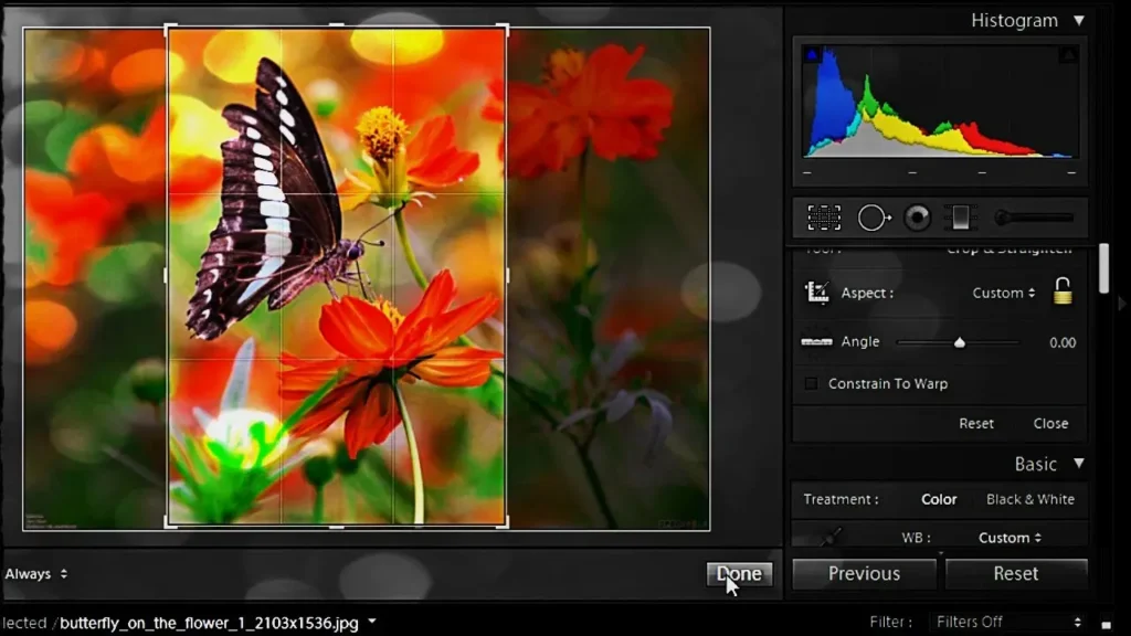 Lightroom for Beginners