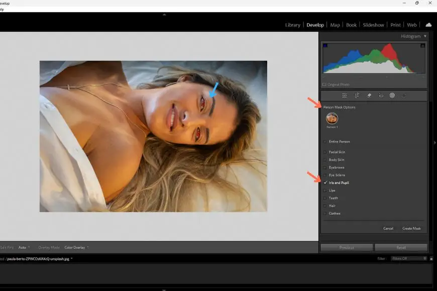 Role of AI in Lightroom